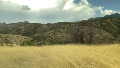 High Desert Grasslands under Cloudy Sky and Rain on the Horizon Видео 199301974
