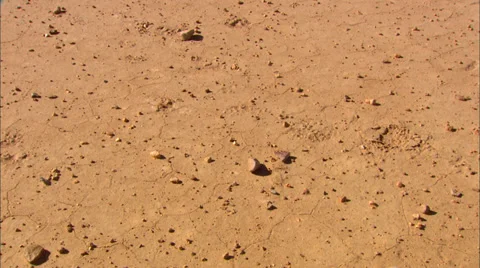 High Desert Lake Bed Vídeo Stock 33637894