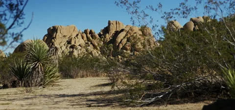 High Desert Landscape Stock Footage 136269353