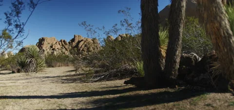 High Desert Landscape Stock Footage 136269768