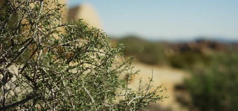 High Desert Landscape Stock Footage 136271074
