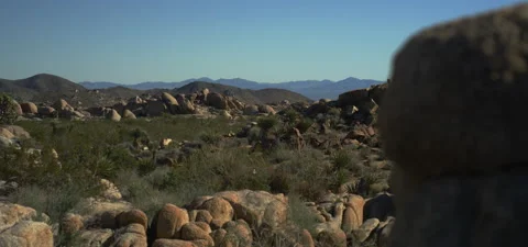 High Desert Landscape Stock Footage 136271661