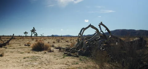 High Desert Landscape Stock Footage 136272735