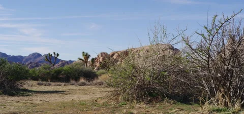 High Desert Landscape Stock Footage 136274213