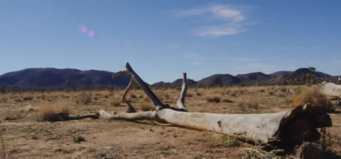 High Desert Landscape Stock Footage 136274284