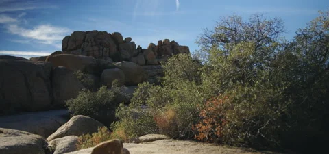 High Desert Landscape Stock Footage 136276323