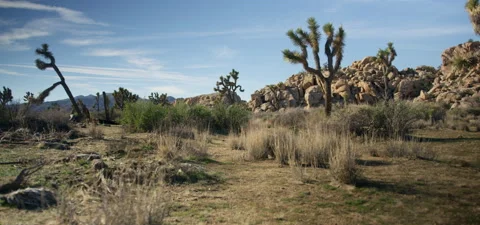 High Desert Landscape Stock Footage 136276330