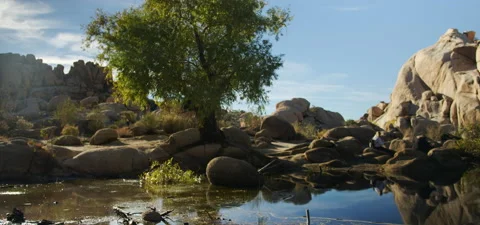 High Desert Landscape Stock Footage 136277691