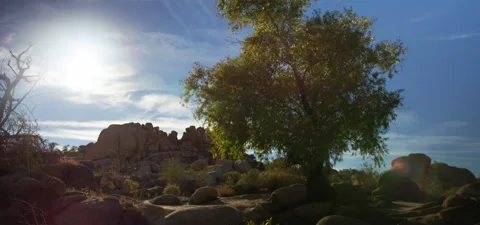 High Desert Landscape Stock Footage 136278806