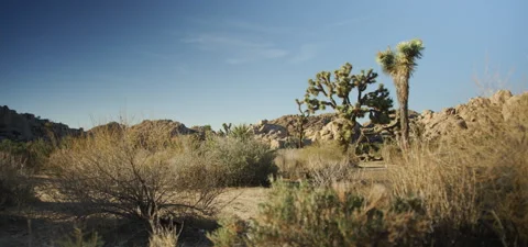 High Desert Landscape Stock Footage 136283393