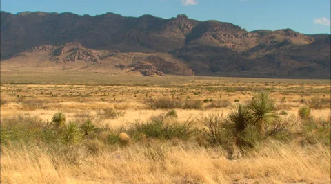 High Desert Mountain Range Cactus Vídeo Stock 33637816