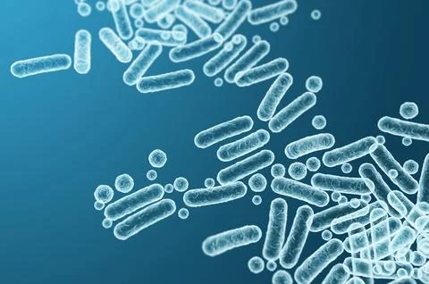 High-detail 3D rendering of Enterobacteriaceae, gram-negative rod-shaped bact Stock Illustration