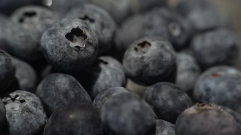 High-detail 4K macro view of ripe blueberries captured in vivid, natural cl.. Stock Footage 325363729