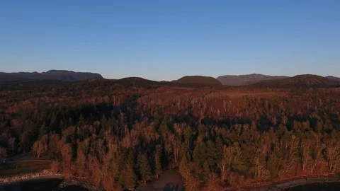 High drone over autumn pine forest goes down to reveal sea Stock Footage 126998409