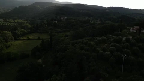 High Drone Over Forest and Olive Trees, Sunset, Tuscany, Italy Stock Footage 243569898