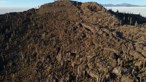 High drone pullback of Isla Incahuasi with shadow casting across surrounding Stock Footage 306283899
