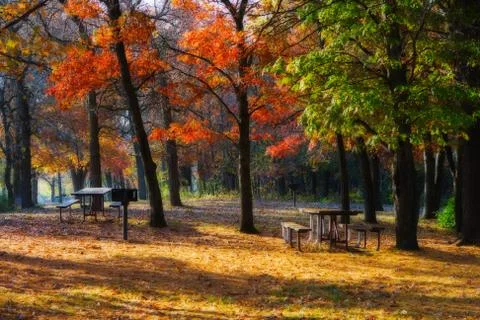 High dynamic range image of a campsite. Stock Photos