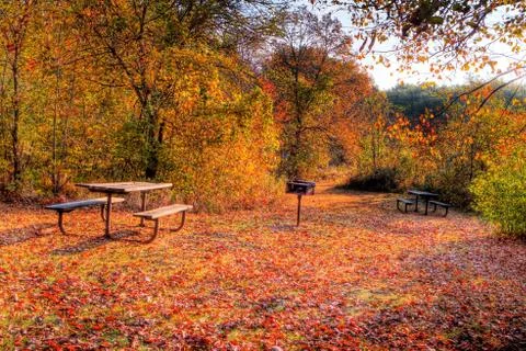 High dynamic range image of a campsite. Stock Photos