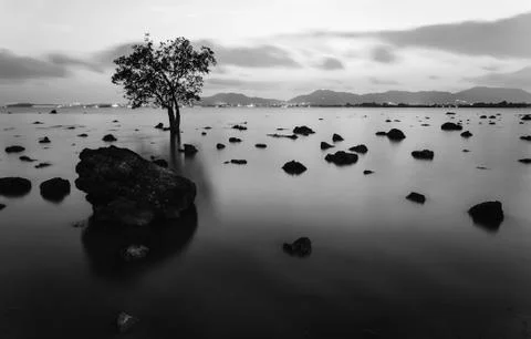 High dynamic range technique in twilight, Black and white tone Stock Photos
