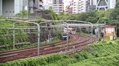 High efficiency Japanese train system with quad track local and express service  動画素材 244052301