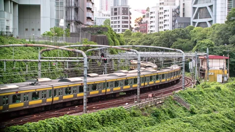 High efficiency Japanese train system with quad track local and express service  Vidéo 244052315