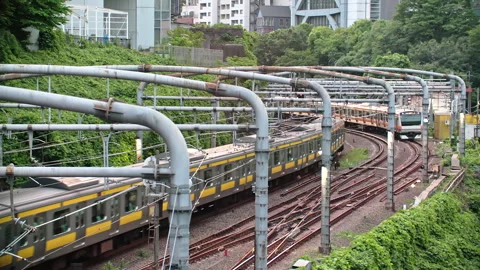 High efficiency Japanese train system with quad track local and express service  動画素材 244052361