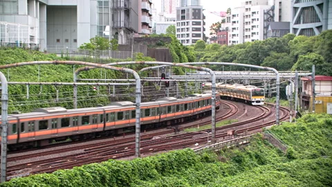 High efficiency Japanese train system with quad track local and express service  動画素材 244052395