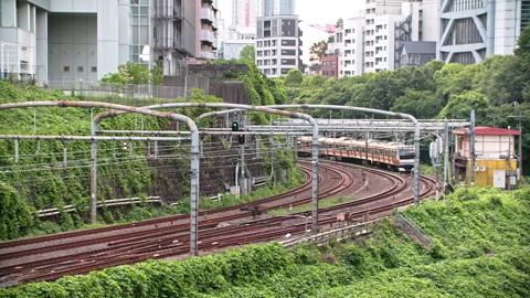 High efficiency Japanese train system with quad track local and express service  動画素材 244052516