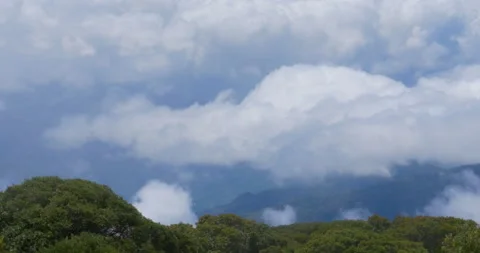 High Elevation Mountain View Above The Rainforest Clouds Covering Jungle Valleys Video stock 137551660