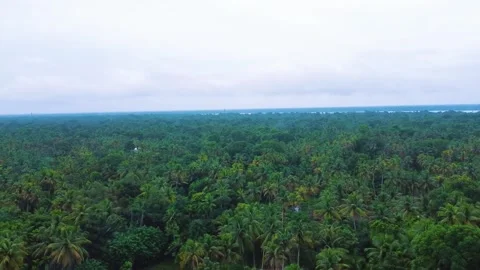 High elevation view of Paathiramanal Island in Vembanadu Lake near Stock Footage 290514977