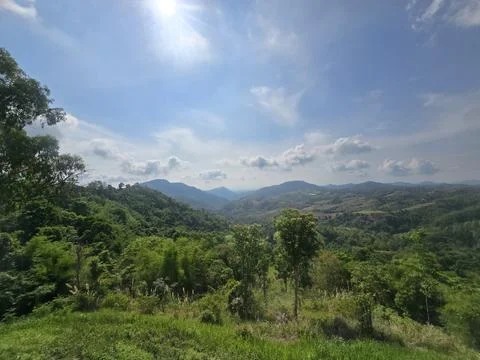 A high-elevation view reveals undulating hills layered with dense, Stock Photos