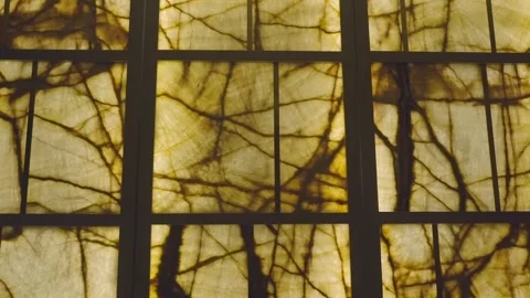 High end illuminated marble wall panels with dark natural veining and warm Vidéo 332948446
