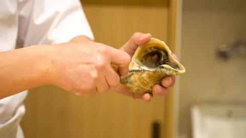 High-end Japanese sushi restaurant chef is getting a sea snail out of its shell Stock Footage
