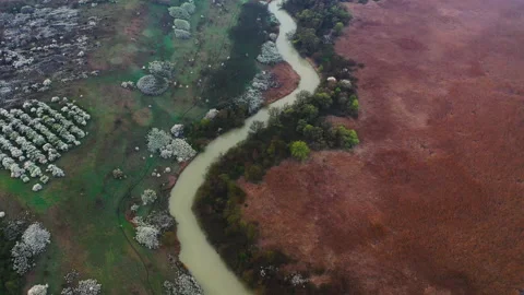 High evening flight over a winding river and bushes Stock Footage 153039128
