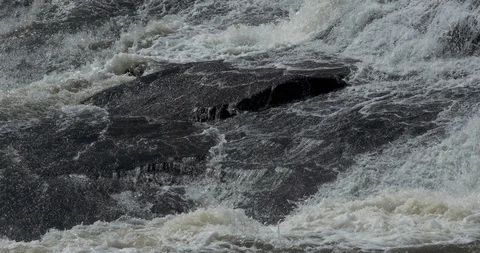 High Falls State Park, 50 miles south of Atlanta, Georgia Stock Footage 86557286