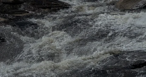 High Falls State Park, 50 miles south of Atlanta, Georgia Stock Footage 86618738