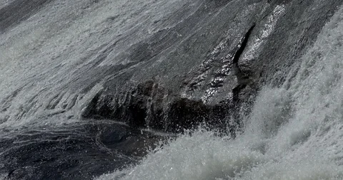 High Falls State Park, 50 miles south of Atlanta, Georgia Stock Footage 86620427