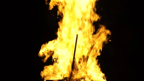 High fire, fire, burning firewood Stock Footage 93501385