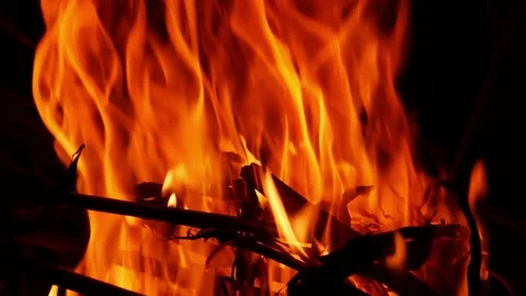 High fire flames due to burning of woods, Woods burning close view Stock Footage 148210011