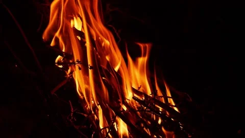 High fire flames due to burning of woods, Fire flames with black background Vídeo Stock 148210636