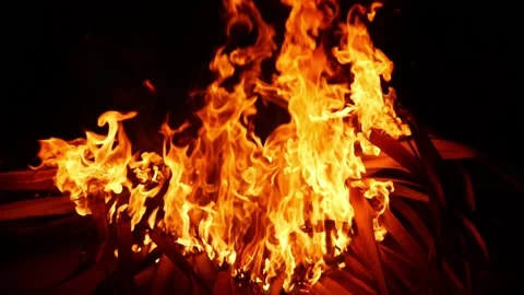 High fire flames due to burning of dry wooden blocks 動画素材 150714889