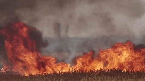 High Fire Stock Footage 86638643