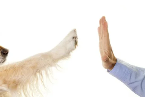 High Five Stockfoto's