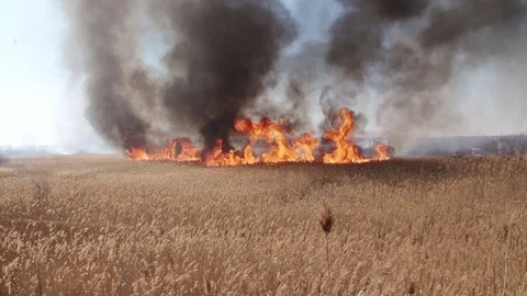 High flame Video stock 86638667