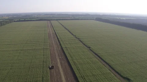 High flight above corn field Vídeo Stock 123774903