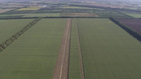 High flight - corn field - panorama 動画素材 123780259