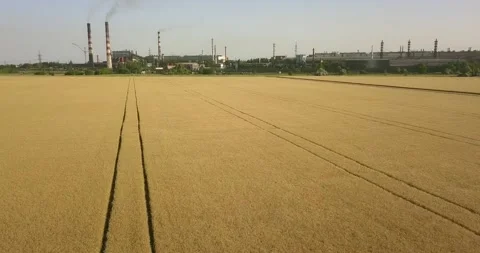 High flight over a field of wheat from a plant that pollutes the environment Stock Footage 134462209