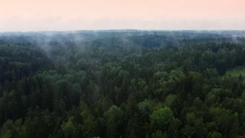 High flight over the summer morning fog. Aerial drone view. Stock Footage 201966344
