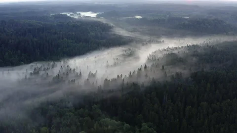 High flight over the thick summer morning fog. Aerial drone view. Stock Footage 172214953