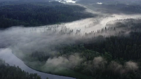 High flight over the thick summer morning fog. Aerial drone view. Stock Footage 227009900